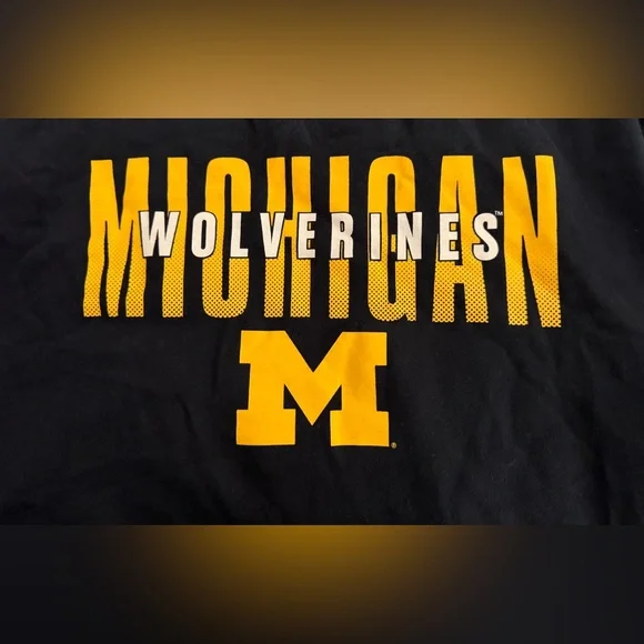 NWT '47 Brand Michigan Wolverines Men's Overlay Headline Sweatshirt 2XL $70 MSRP - Picture 5 of 8